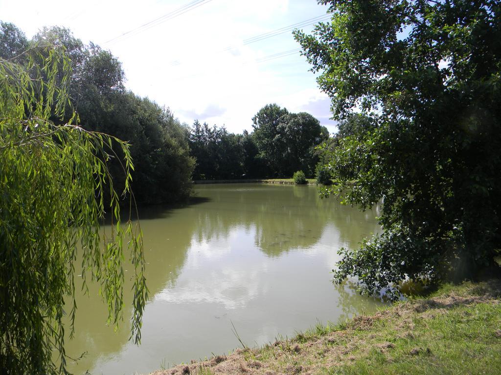 Domaine Des Mille Oiseaux Villa Villiers-Charlemagne Eksteriør billede